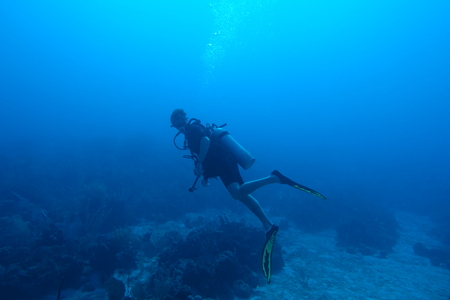 Diving in Puerto Ricoの写真素材