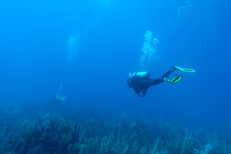 Diving in Puerto Ricoの写真素材