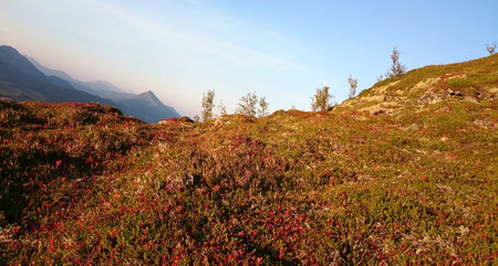 Peaksの写真素材