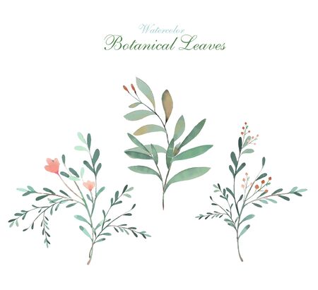 Art of flower in watercolor style image in a botanical leavesのイラスト素材