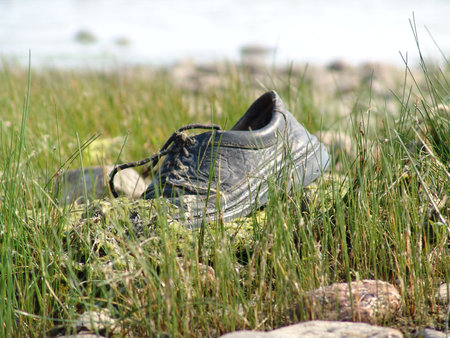 Old boot