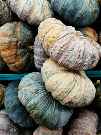 Pumpkin