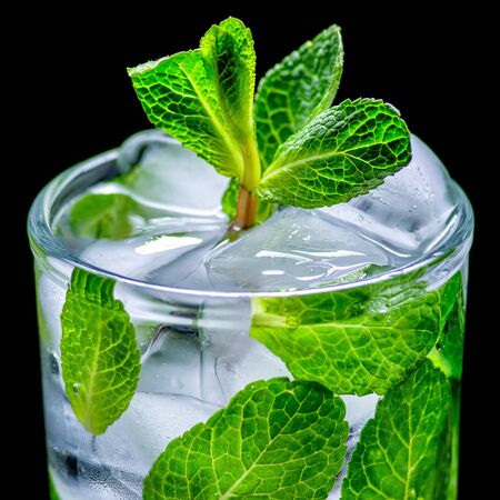 Mojito cocktail on black backgroundの写真素材