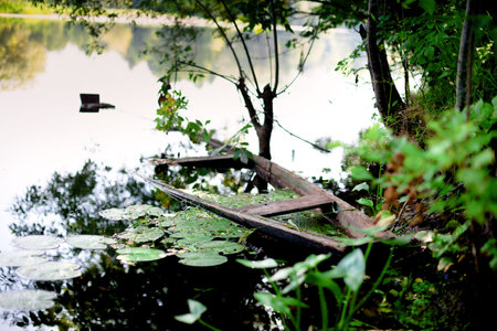Flower drop and floating boats old riverの写真素材