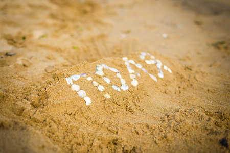 Large fish attacks small beach drawing on sandの写真素材