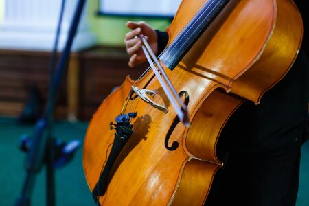 musician playing double bass artist concert instrumentの写真素材