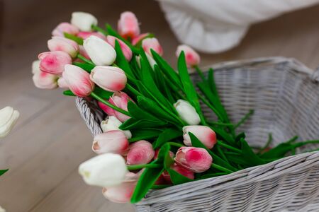 tulips pink white bucket light background bouquetの写真素材