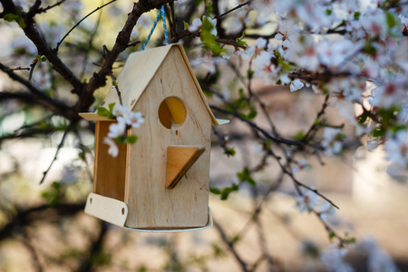 Little Birdhouse in Spring with blossom cherry flower sakura Birdhouse on a flowering treeの写真素材
