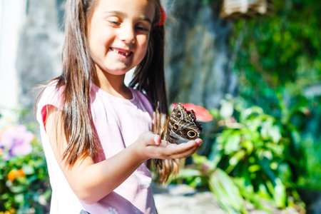 Little girl holding a butterfly in a fieldの写真素材