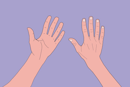 Open palm hand gesture of male hand. Isolated, illustration.の写真素材