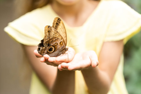 cute little girl holding living beautiful butterfly on her handの写真素材