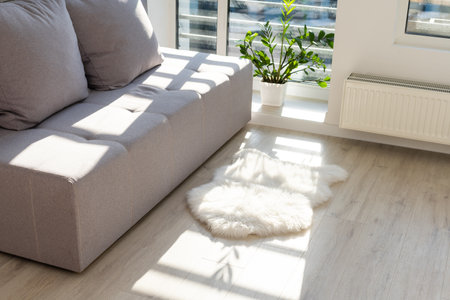 gray sofa stands by the window in the living roomの写真素材