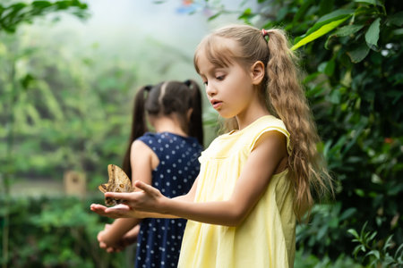 Two little sisters holding a butterfly in their hands. Children exploring nature. Family leisure with kids at summer.の写真素材