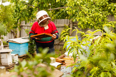 Beekeeper holding a frame of honeycomb