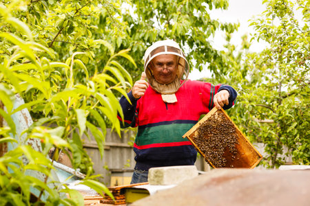 Beekeeper holding a frame of honeycomb