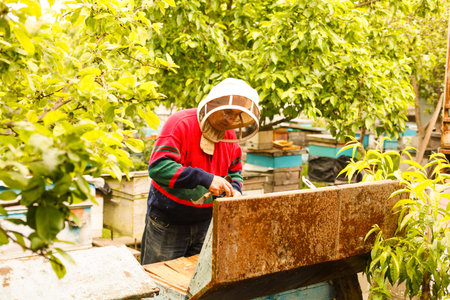 Beekeeper holding a frame of honeycomb