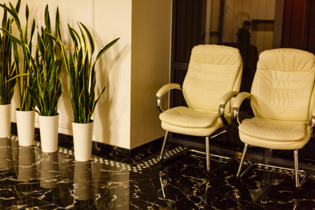 Luxury hotel lobby interior, lounge zone with tho white leather armchairs and green plants in potsの写真素材