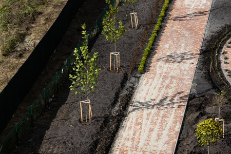 Improvement of the courtyard paving slabs, unfinished work on laying paving slabs. Laid new paving slabs sprinkled with sand and heaps of figured tiles ready for installationの写真素材