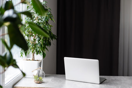 gray workplace with laptop and large windowの写真素材