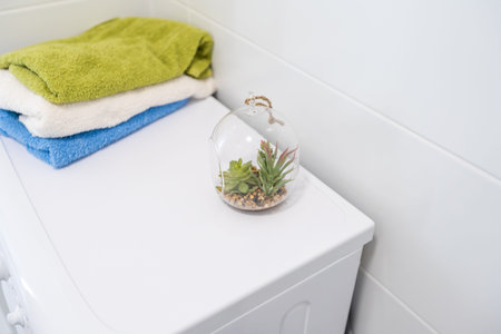 Washing machine in the bathroom, laundry