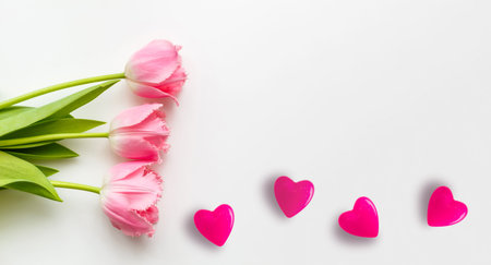 Tulip flower small hearts on white wooden background, copy spaceの写真素材