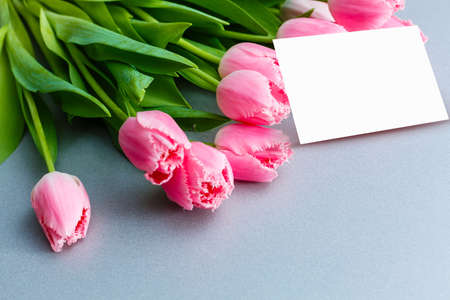 Pink tulip bouquet, gift box and balnk paper on blue wooden background, copy spaceの写真素材