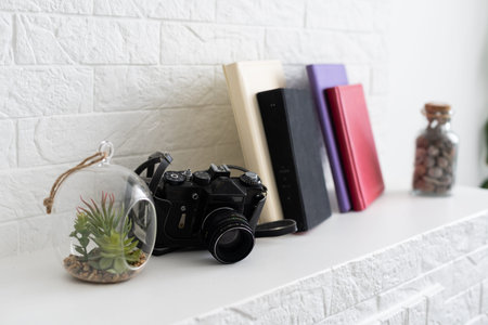 White wall interior with decoration book, and plant pots on the shelf