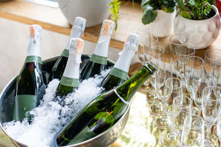 Still life with colorful tulipsの写真素材