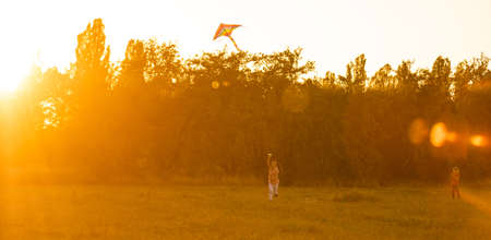 Two kids flies a kite over sunset in parkの写真素材