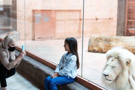 Little Girl Watching Through the Glass at White Lion in Zoo. Activity Learning for Kid.