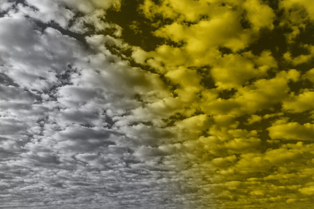 Colors of the year 2021 Ultimate Gray and Illuminating background. Copy space. Trendy fashion Illuminating Yellow paint sample on a gray background. Prediction of popular colors in 2021の写真素材