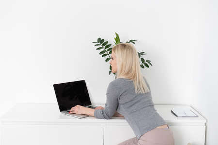 Entrepreneur woman working with a laptop sitting at home.の写真素材