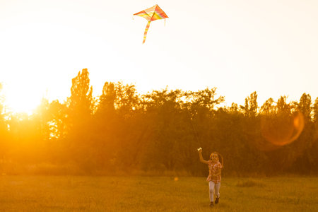 Two kids flies a kite over sunset in parkの写真素材