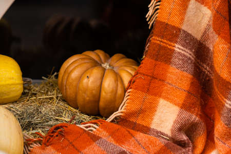 Autumn decor with natural straw bale, pumpkins, flowers.の写真素材