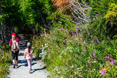 Mother and daughter on top of a mountain. The concept of travel, lifestyle