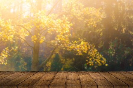 Empty wooden table with garden bokeh for a catering or food background with a country outdoor theme,...