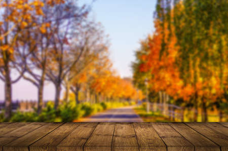 Beautiful autumn background with empty wooden deck table. Ready for product montage displayの写真素材