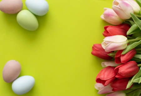 Easter eggs and tulips on light green backgroundの写真素材