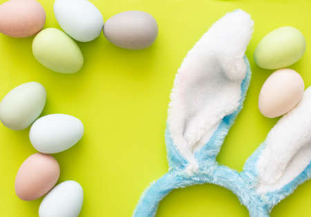 Easter bunny ears isolated on backgroundの写真素材