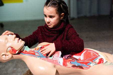 girls are studying the organs in the human body, Learning organs in the human body.