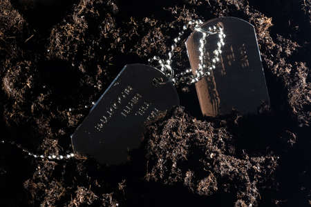 Silvery military token lies on a pile of soilの写真素材