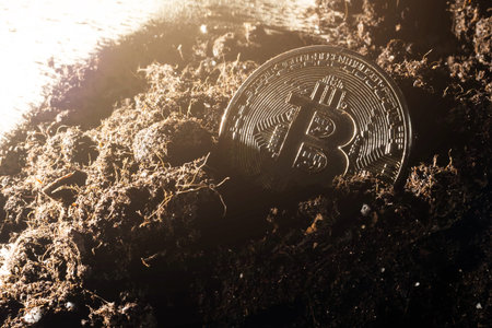 Golden Bitcoin coin on the background of the earth