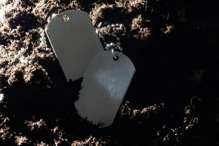 military token, army token lying on a pile of soilの写真素材