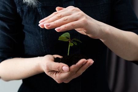 Hands holding young green plant, on black background