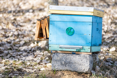 Old bee hives in the apiary in the spring.