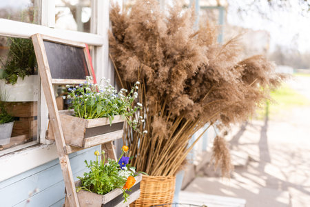 An Image of A Flower Shop, garden shop.の写真素材