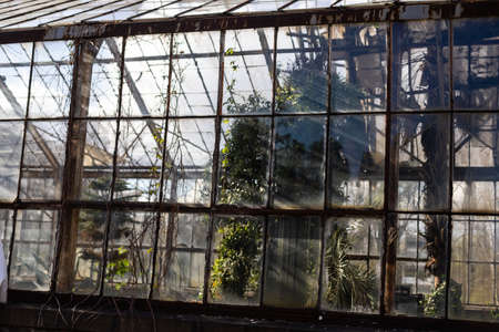 big windows in the workshop hall factoryの写真素材