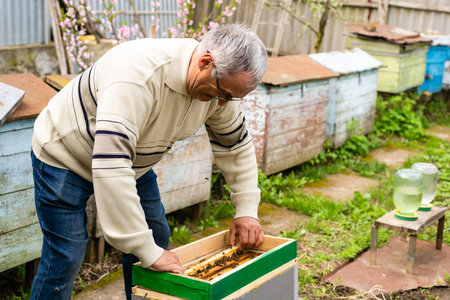 beekeepers hand holds empty eaten honeycombs