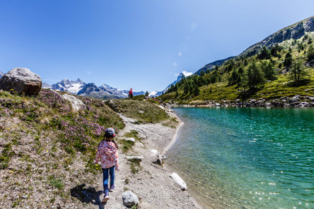 the mountains of switzerland, the view of the Alps