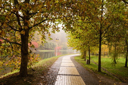 beautiful autumn park at fog weather